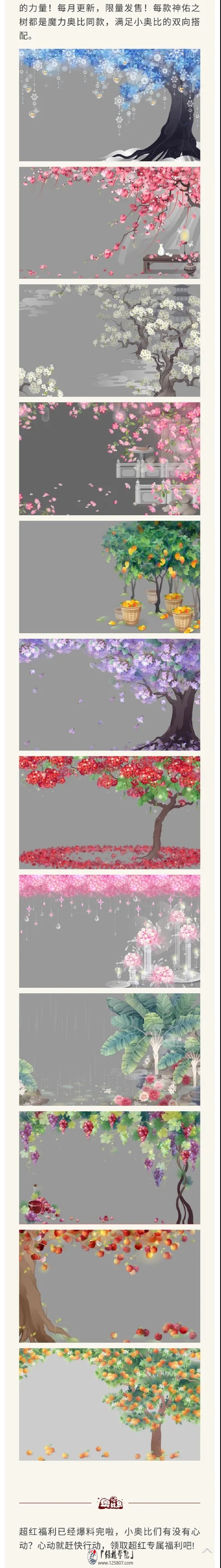 【氵】六月或七月的超红树可能会是梧桐花吧-1.jpg