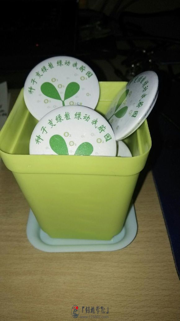 #绿植领养#滁州学院绿植领养开始啦,快来领取属于你自己的绿植吧-2.jpg